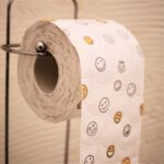 toilet-paper-4961395__480