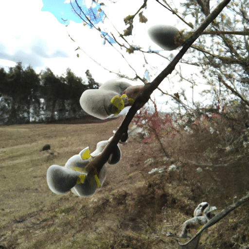 5 sposobów na piękne tupety włosy naturalne