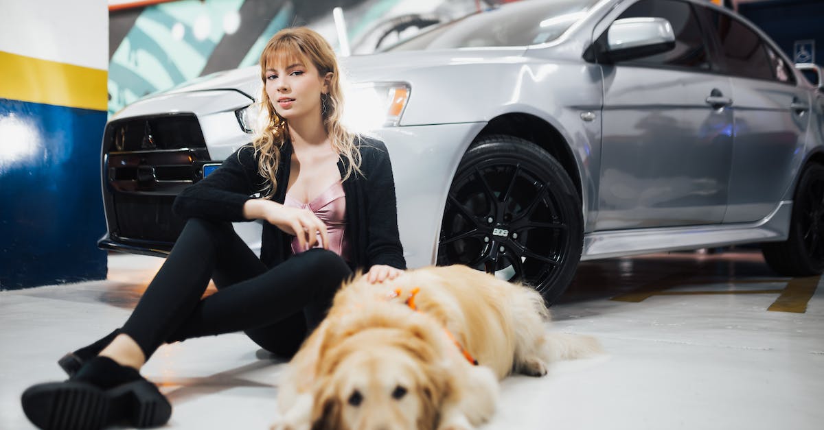 Blablacar - świetny sposób na oszczędność w podróżach