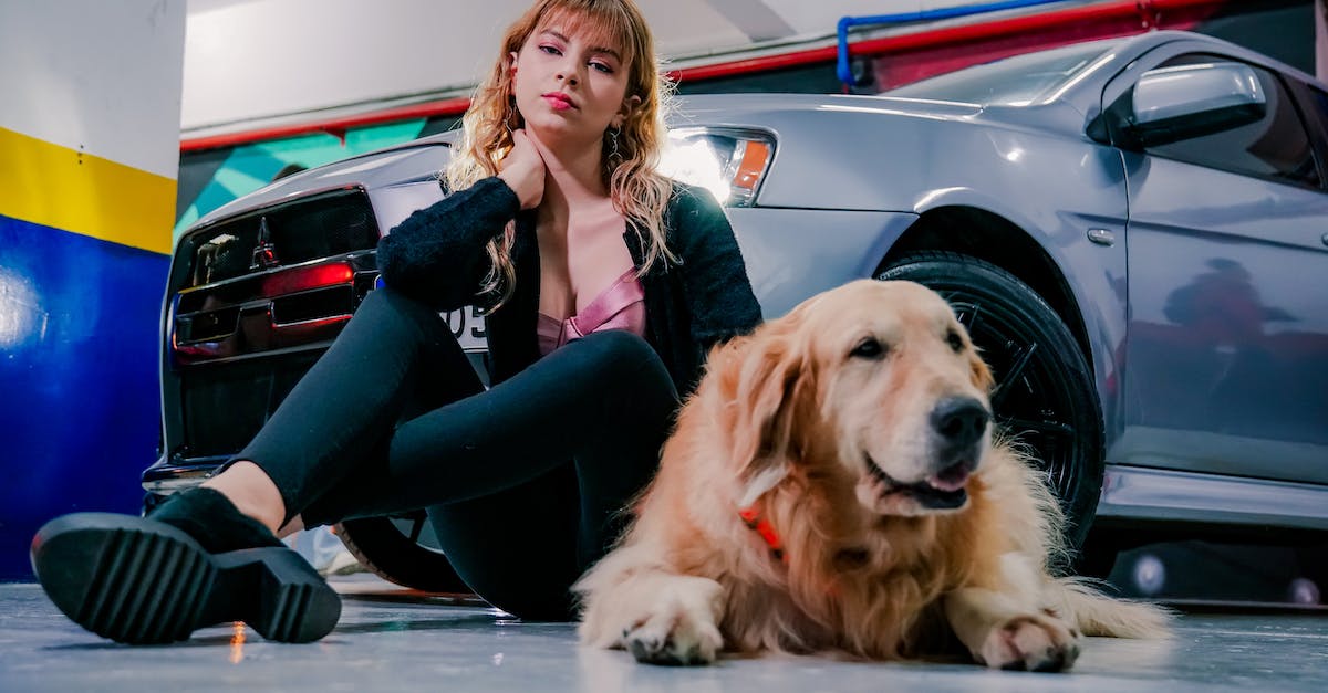 Zalety i wady podróżowania z BlaBlaCar - Przewodnik dla podróżnych