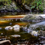 „Blablacar - Rewolucja w podróżowaniu na własnych zasadach” „Blablacar - Rewolucja w podróżowaniu na własnych zasadach”