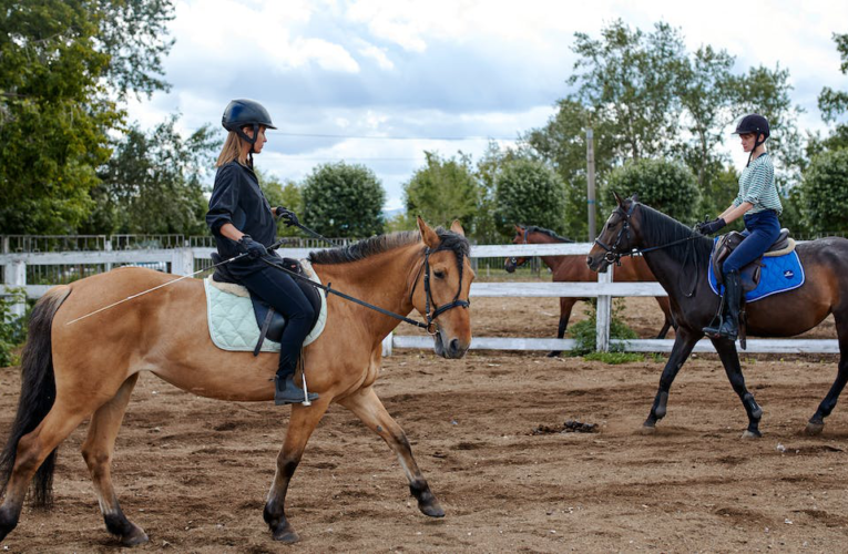 Blablacar – innowacyjny model podróżowania który zyskuje popularność
