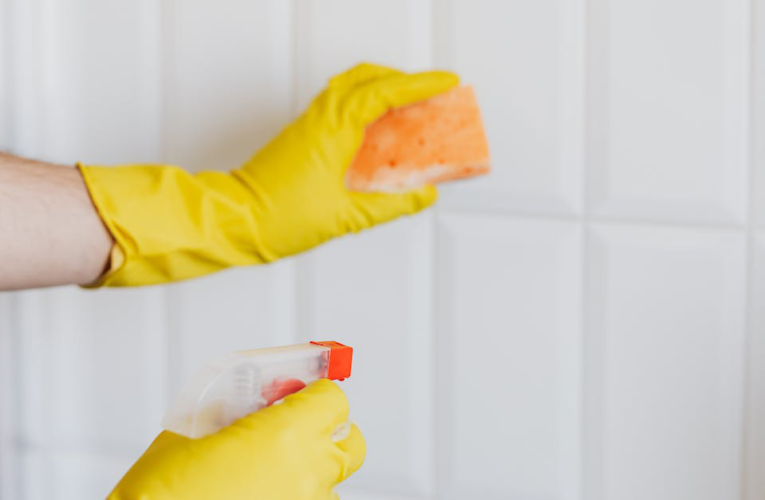 Przewodnik dla podróżnych: Jak wykorzystać potencjał BlaBlaCar do taniego i ekologicznego podróżowania