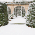 Jak wybrać najlepszą firmę do zaprojektowania i zbudowania ogrodu zimowego w Warszawie?