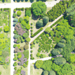 Czy w Warszawie można kupić ziemię ogrodową? Jak znaleźć najlepszą ziemię ogrodową w stolicy?